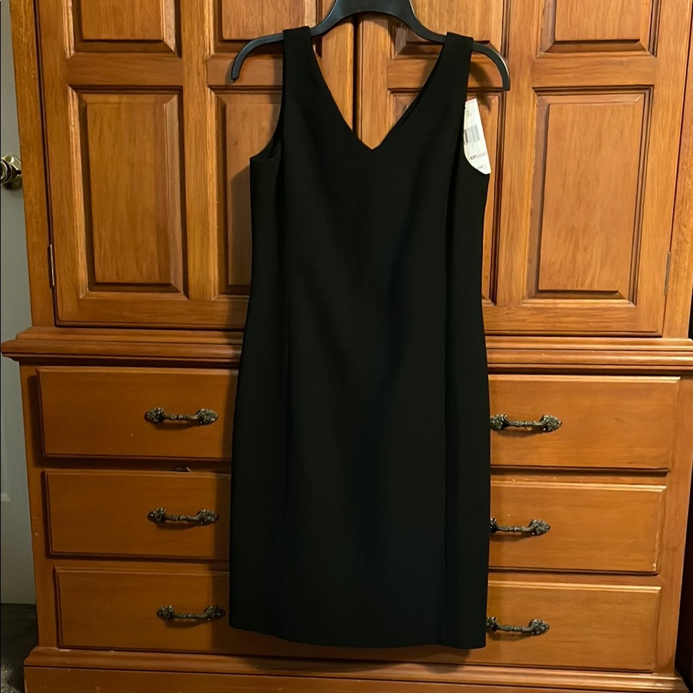 Jones New York Platinum Petite Dress